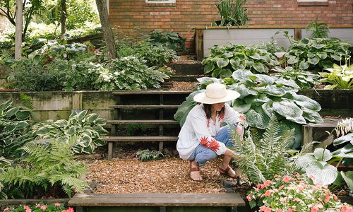 Kelly Harman in her hosta garden in Springfield MO