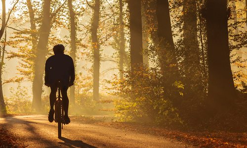 The Best Places for Scenic Cycling in Southwest Missouri