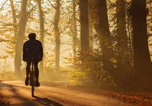 The Best Places for Scenic Cycling in Southwest Missouri