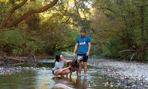 Stream in the Ozarks
