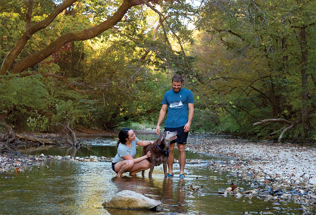 Outdoor stream in the Ozarks.