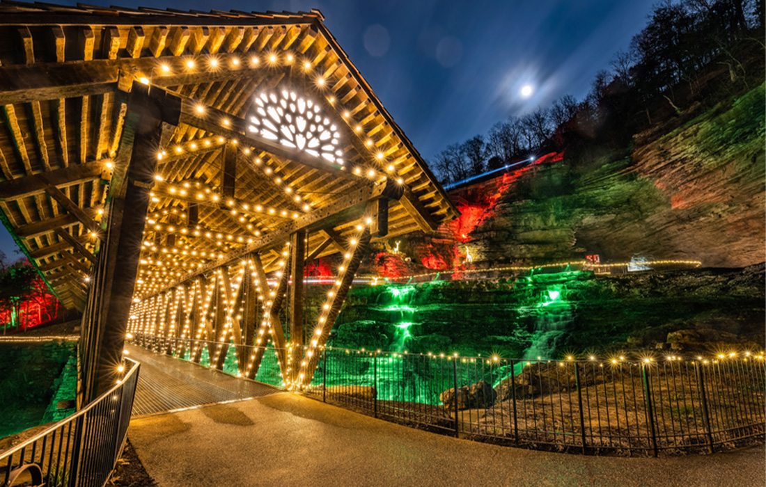 Explore all Nature at Night has to offer this holiday season.