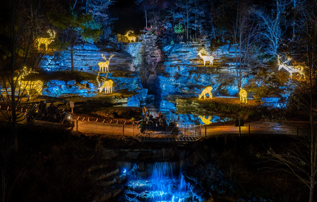 You can truly see nature come alive at night when you visit Nature at Night.
