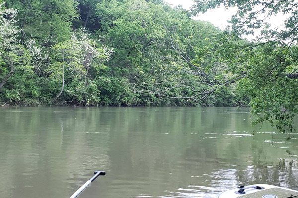 Finley River paddling