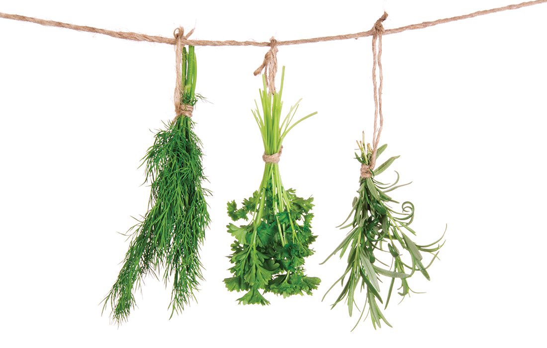 hanging dried herbs
