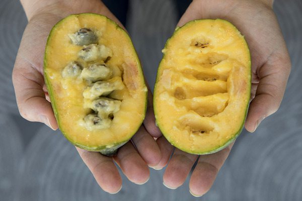 Closeup image of pawpaw.