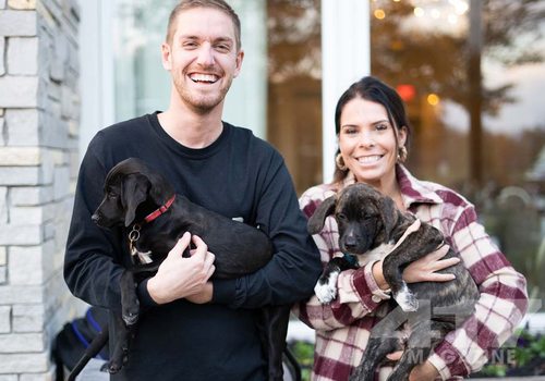 See pictures from Party 4 Paws, 2022