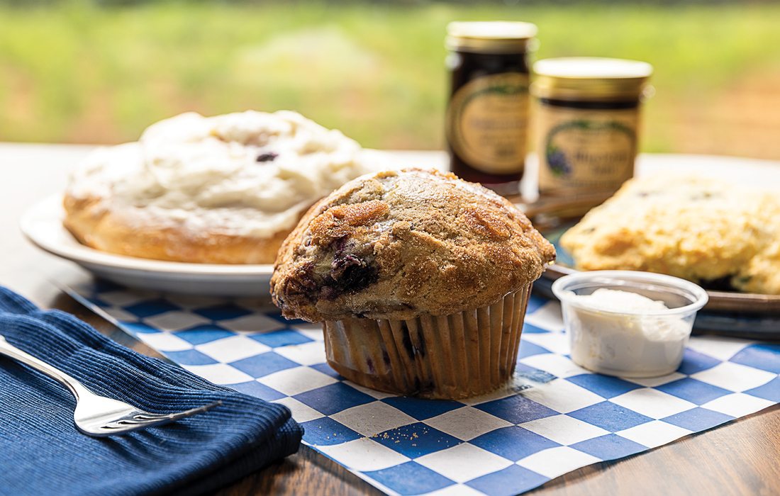 Muffin from Persimmon Hill Farm