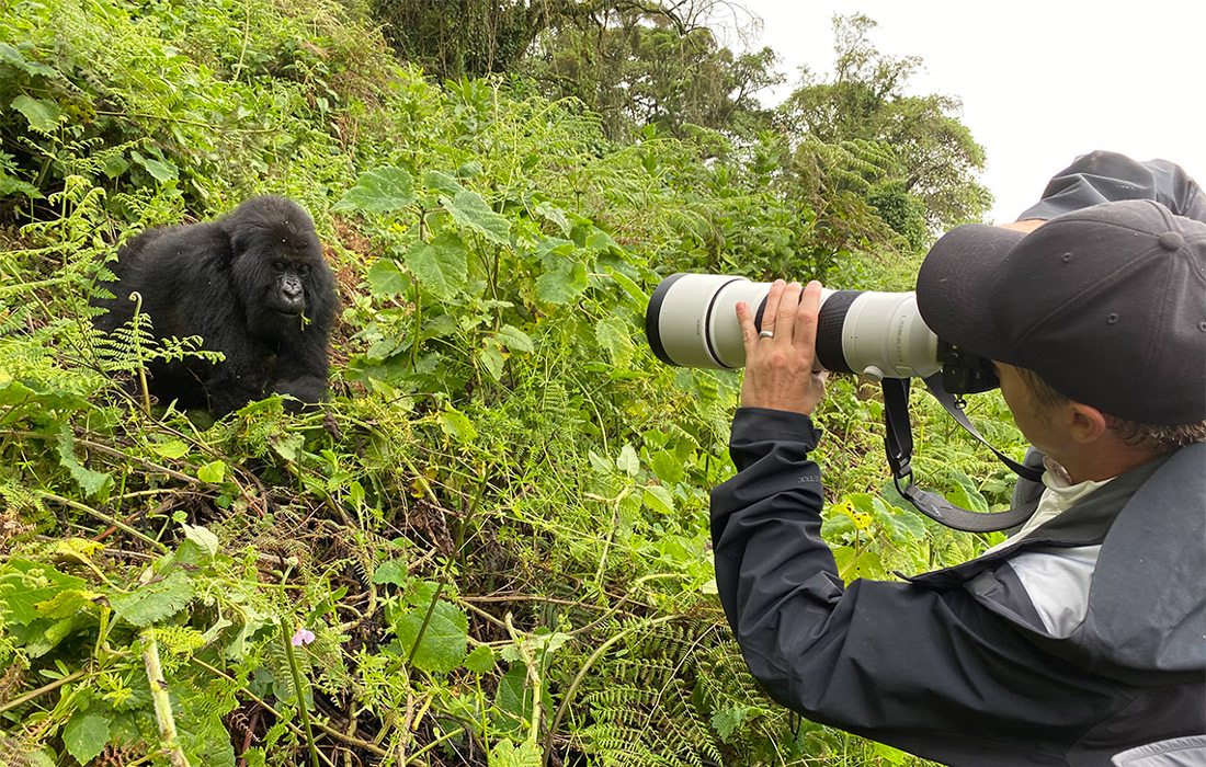 Doug Pitt photographing a gorilla on a visit to Africa