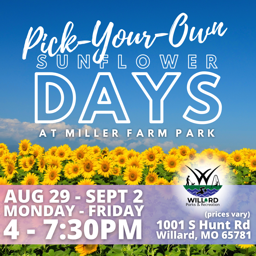 PickYourOwn Sunflower Days