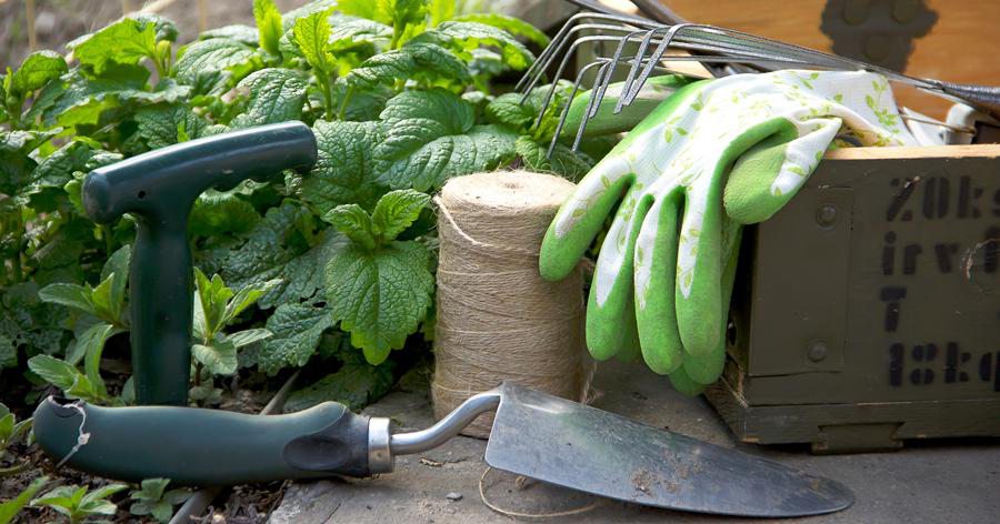 Vegetable Gardening Class in Springfield MO