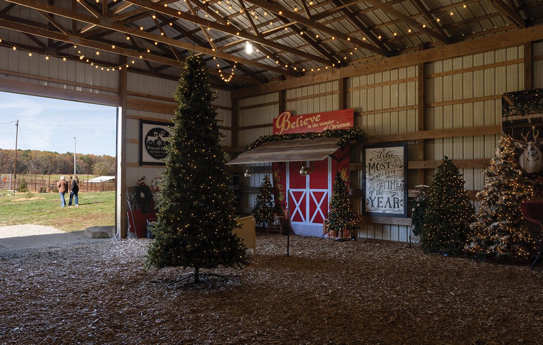 Christmas decor at Prescott Family Farm