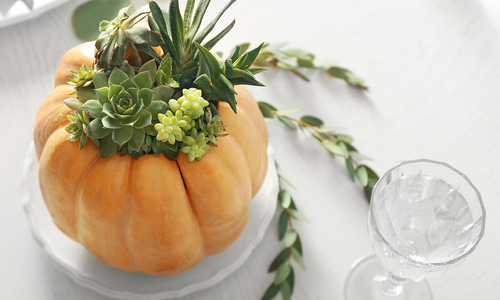 5 Ways to Decorate With Pumpkins