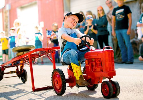 Pumpkins on display at fall festival