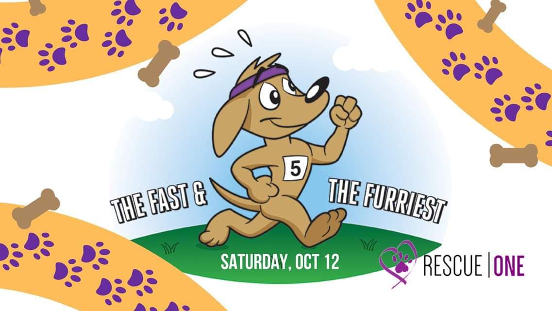5k run in Springfield, MO