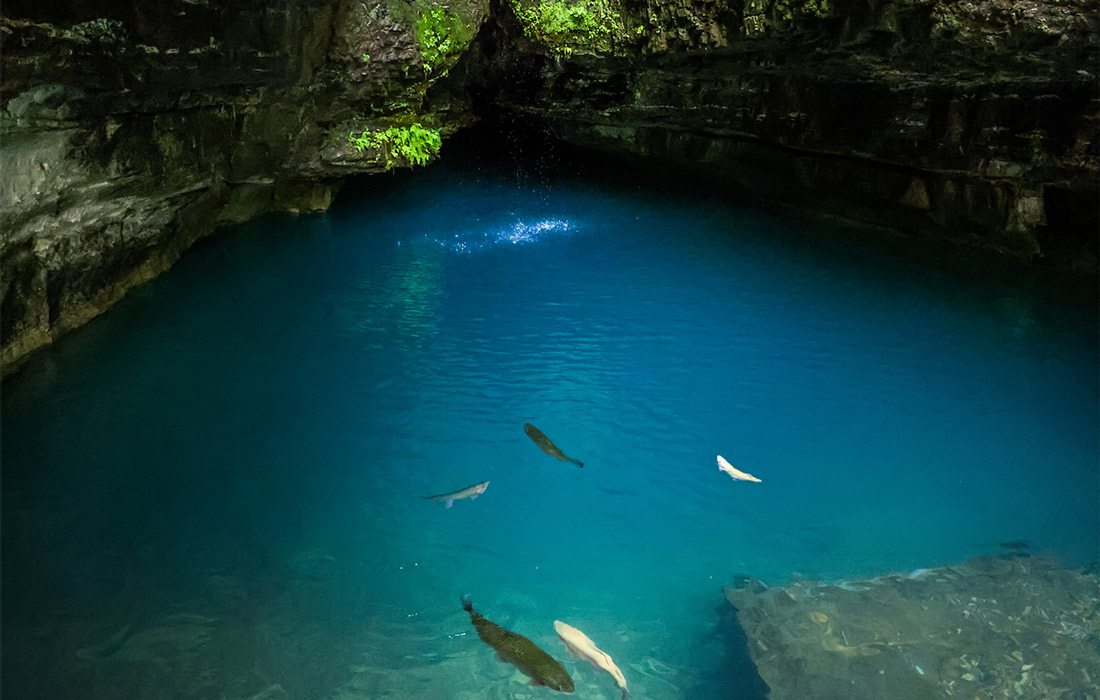 Roaring River Spring, located in Roaring River State Park