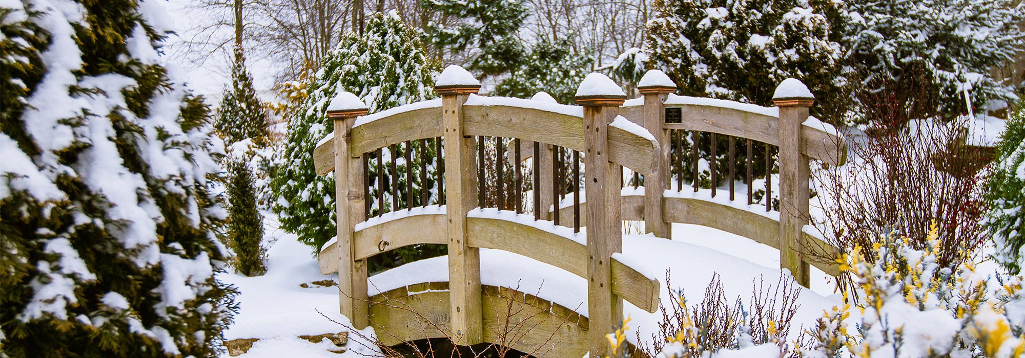 Learning and Exploring Through Play: Wooden Spool Snowmen