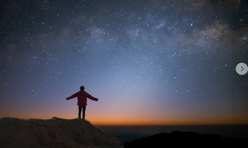 Vitality Counseling and Wellness