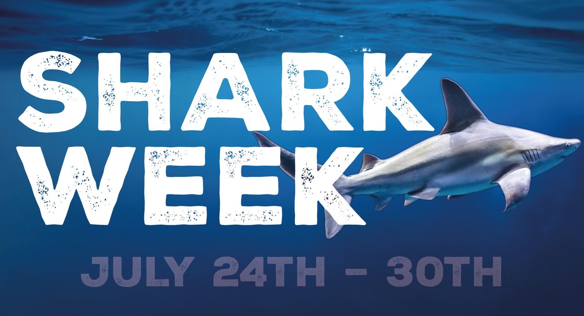 Shark Week