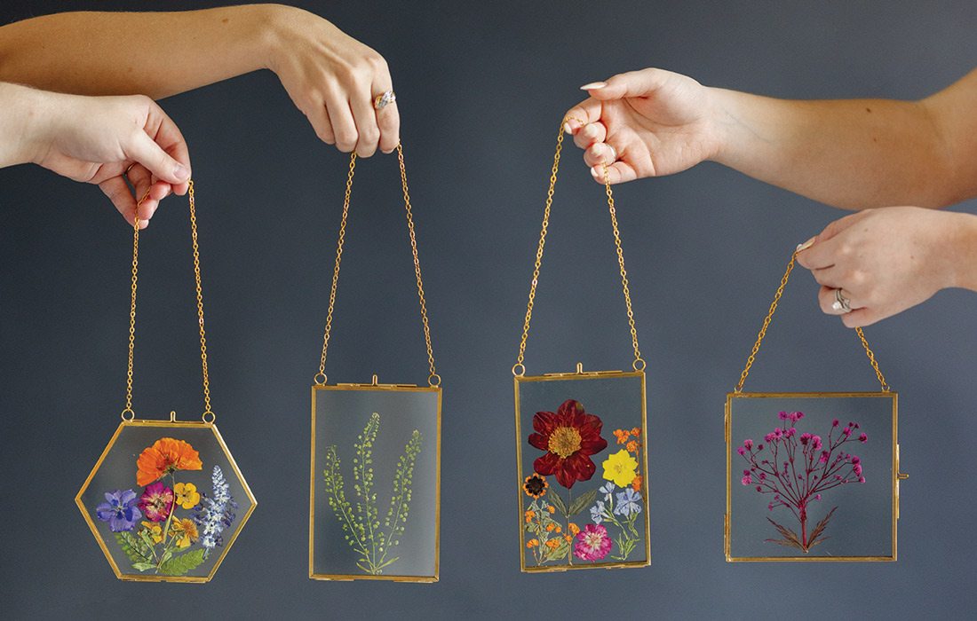 Pressed flowers