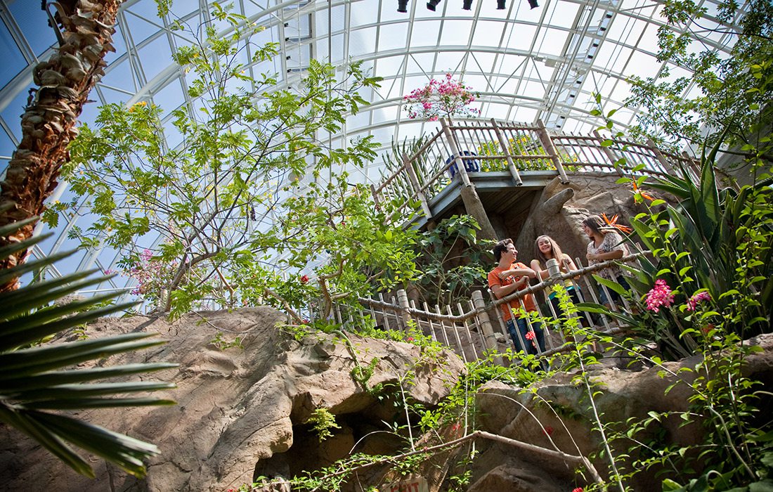 Myriad Botanical Garden, Oklahoma City