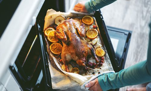 Thanksgiving turkey in the oven