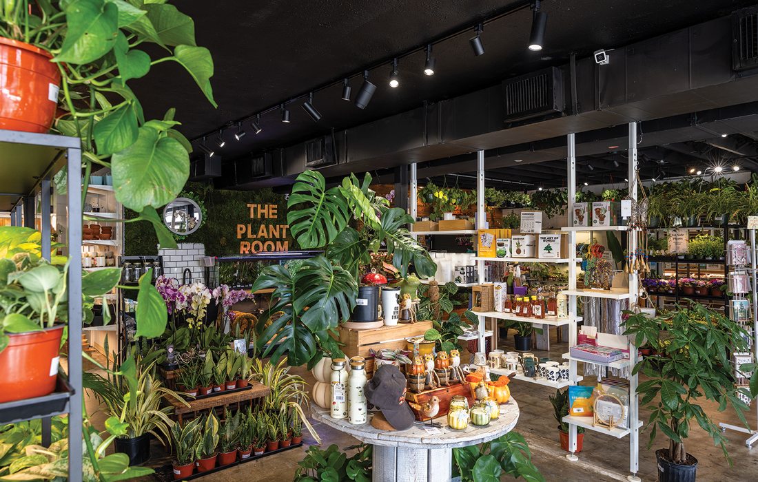 Inside the Plant Room in Springfield, MO.