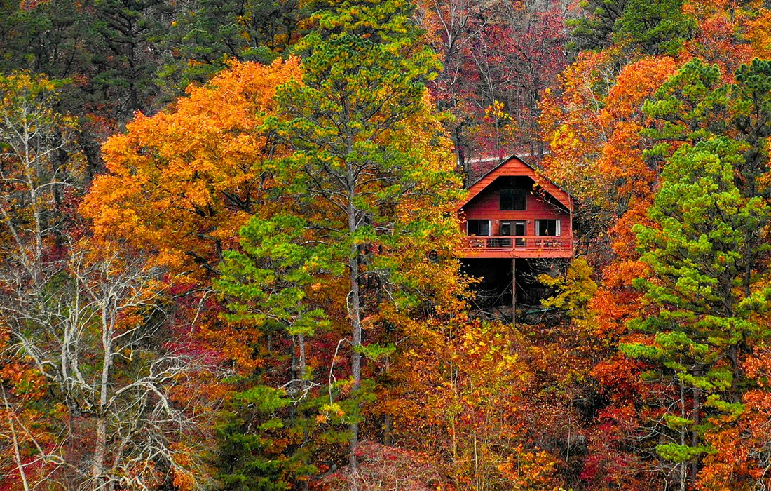 Photo of River of Life's Treetop Loft