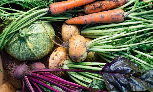 Vegetables after the Harvest in Southwest, MO