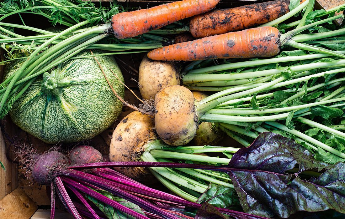 Vegetables after the Harvest in Southwest, MO