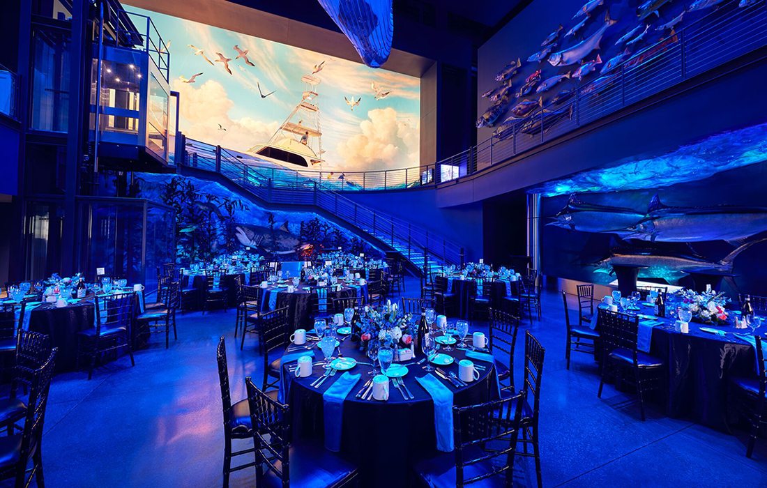 Conference area at Wonders of Wildlife