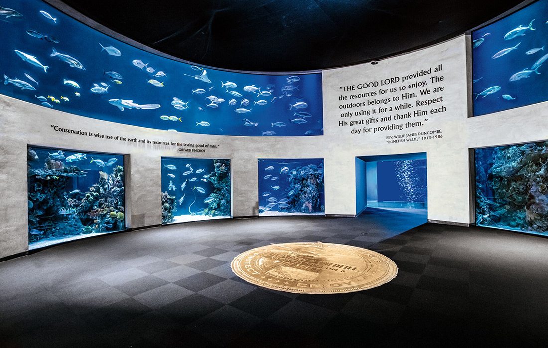 Display at Wonders of Wildlife