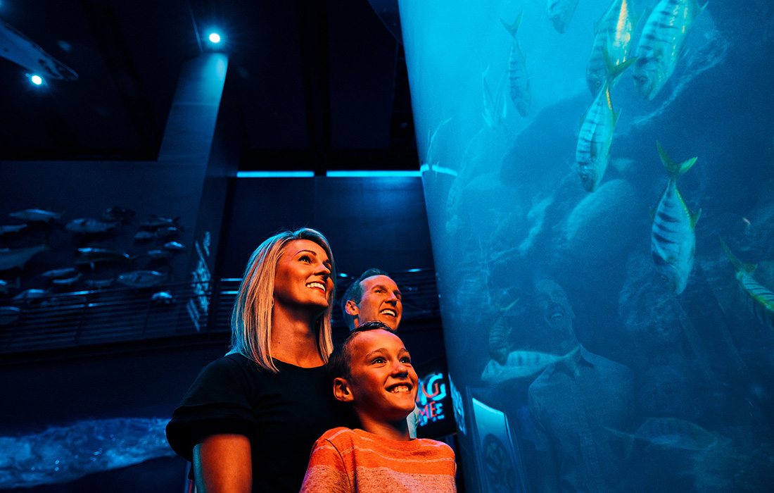 Wonders of Wildlife is a 350,000-square-foot aquarium in Springfield, Missouri.