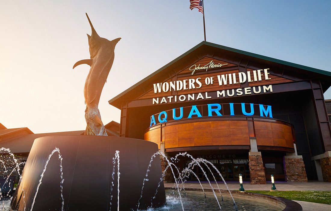 Visit Wonders of Wildlife in Springfield, Missouri today.