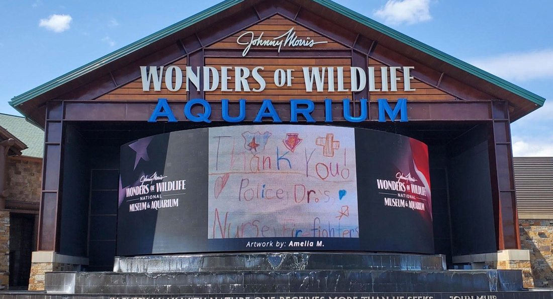Wonders of Wildlife Begins Its Reopening Process