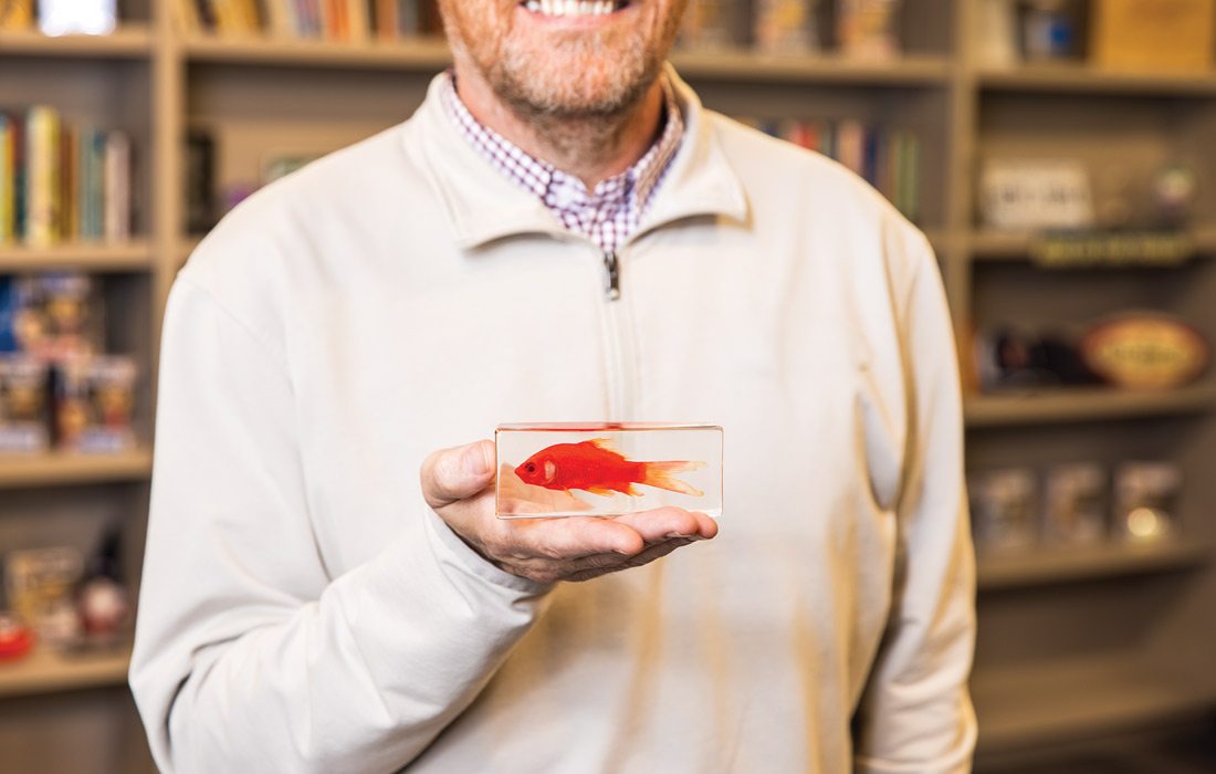 Goldfish