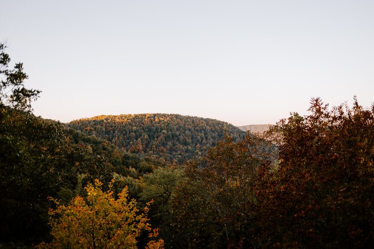 Arkansas Mountainside