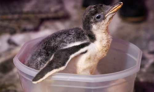 There’s Something New to Discover at Wonders of Wildlife