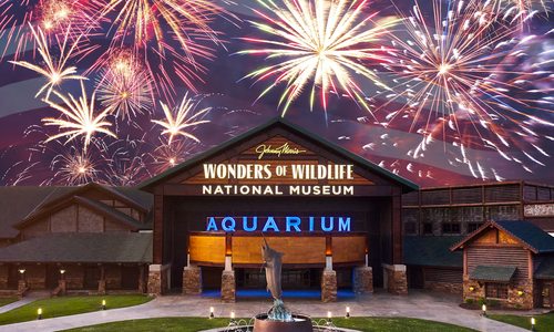 Wonders of Wildlife has won best aquarium for the 8th year in a row.