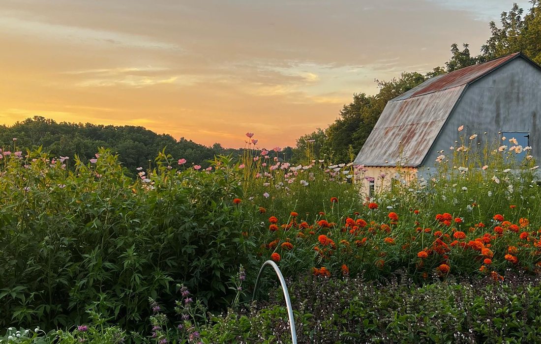 Stone Hill Farm