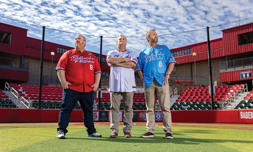 How Passion for Baseball Combined With Strategy Created Ballparks of America