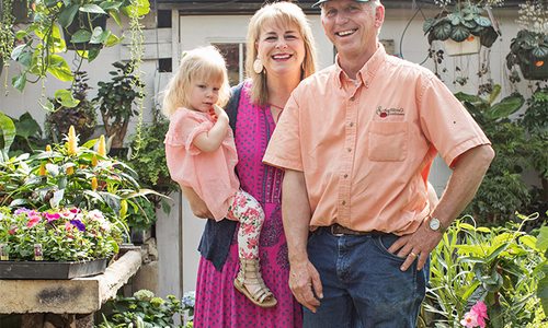 Find Garden Plants, Floral Arrangements and More at Schaffitzel’s Flowers