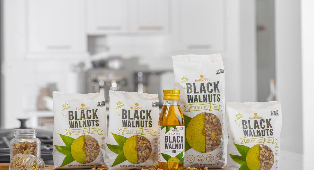 Wild Black Walnuts: Boost Health, Taste & Cooking | 417 Magazine