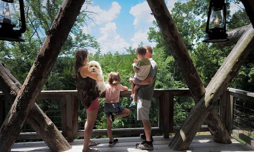 Camp Long Creek is family friendly and pet friendly, making it the perfect getaway for everyone.