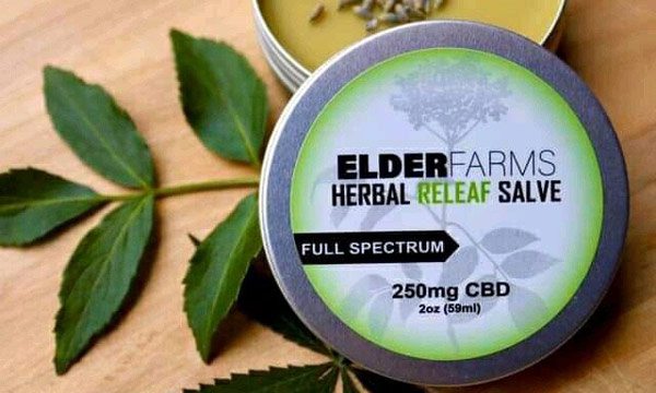 CBD Oil