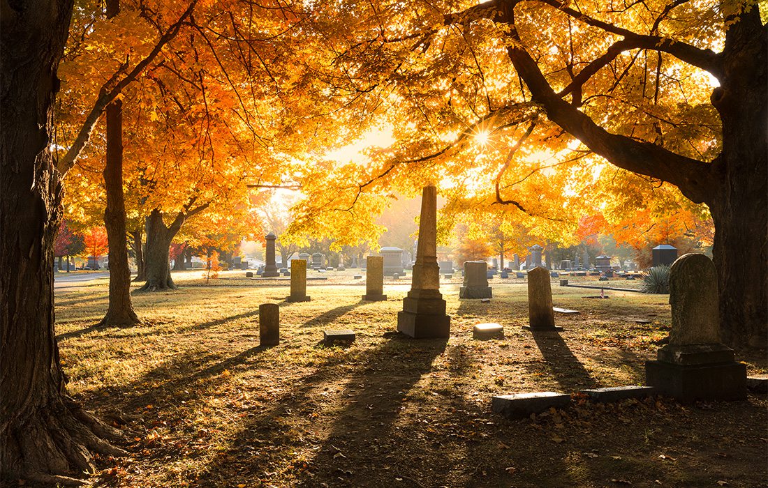 maple cemetery and tombstones in the fall