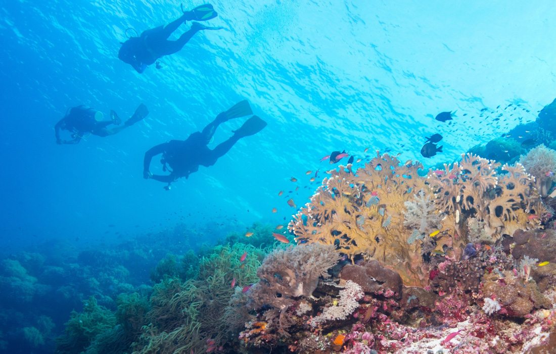 Get scuba certified at Diventures in Springfield, MO.