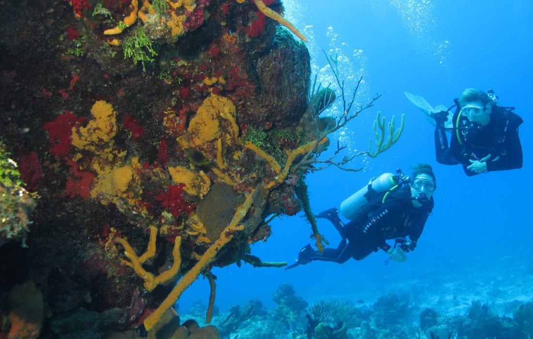 Train for your next family vacation at Diventures.