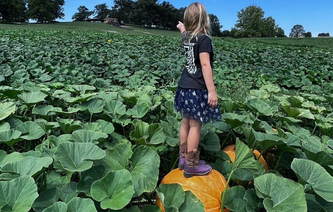 Kids will love the pumpkin patch at Rhymers Ridge.