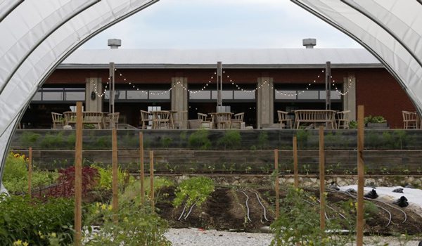 Earth Day Farm Tours at Finley Farms